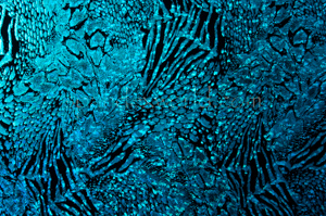 Alternate product image 3