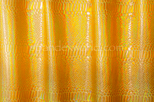 Reflective Snake Pattern  Hologram (Gold/Gold)