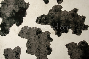 Alternate product image 3