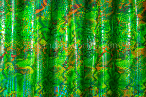 Snake Pattern Hologram (Kelly/Brown/Multi)