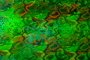 Alternate product image 3