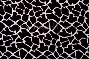 Alternate product image 3