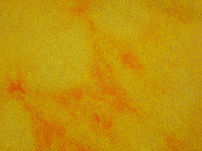 Tye Dye Hologram (yello/orange)