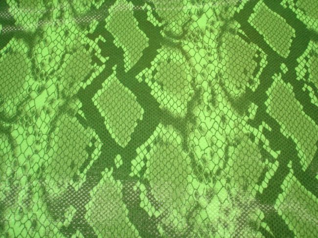 Snake print (green/clear)