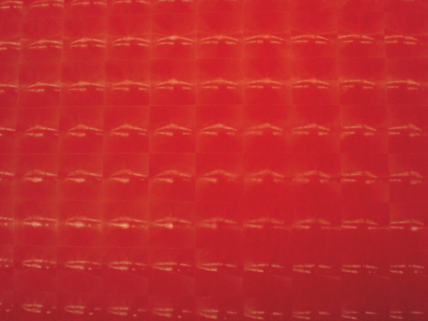 Holographic Vinyl (red)