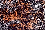 Alternate product image 1