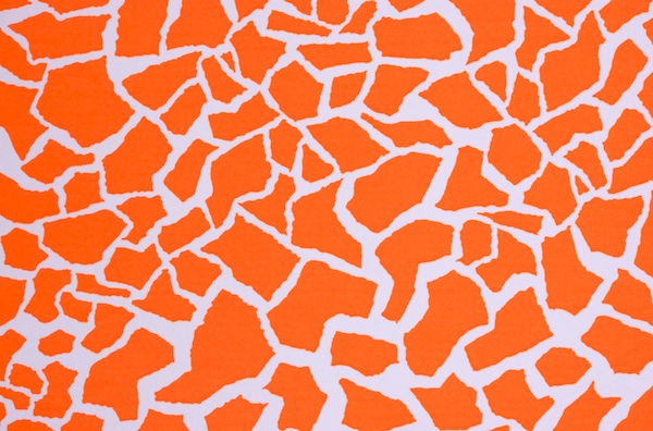 Animal Prints (Orange/White)