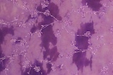 Alternate product image 1