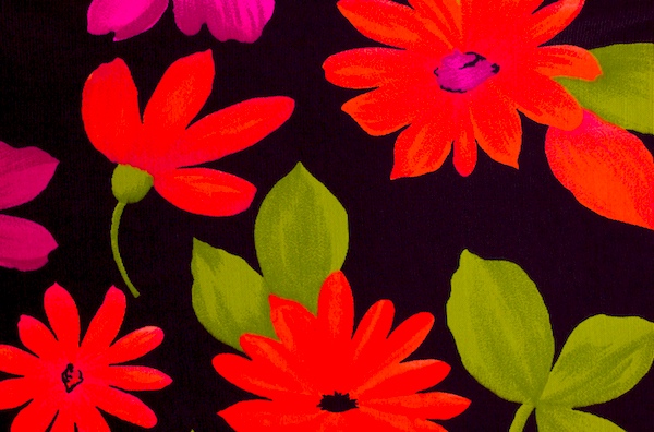 Printed Mesh (Multi Colors)