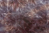 Tie Dye Stretch Velvet (Gray Multi)