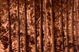 Alternate product image 1