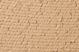 Stretch Sequins (Lt. Gold/Lt. Gold)