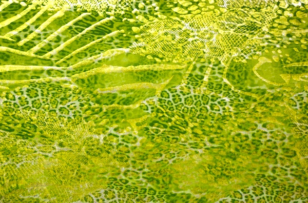 Animal Print Hologram (Green/Green)