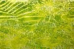 Alternate product image 1