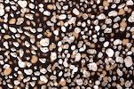 Printed ITY (Black, White, Beige)
