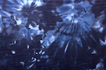 Alternate product image 1