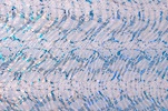 Alternate product image 1