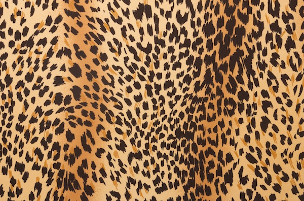 Animal Prints (Black, Beige, Brown)
