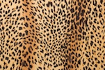 Alternate product image 1