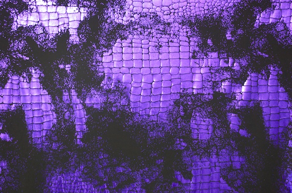 Pattern/Abstract Hologram (Black, Purple)