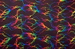 Alternate product image 1