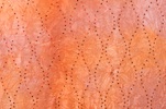 Sheer Glitter/Pattern (Orange, Multi)