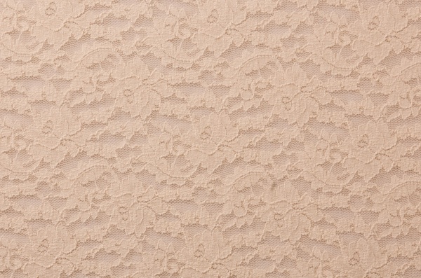 Stretch Lace (Ivory)