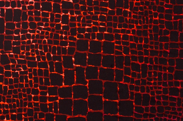 Pattern/Abstract Hologram (Black, red)