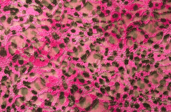 Stretch Lace (Magenta, Brown, Multi)