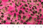 Alternate product image 2