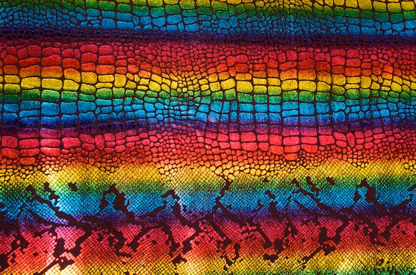 Animal Print Hologram (Black/Multi)