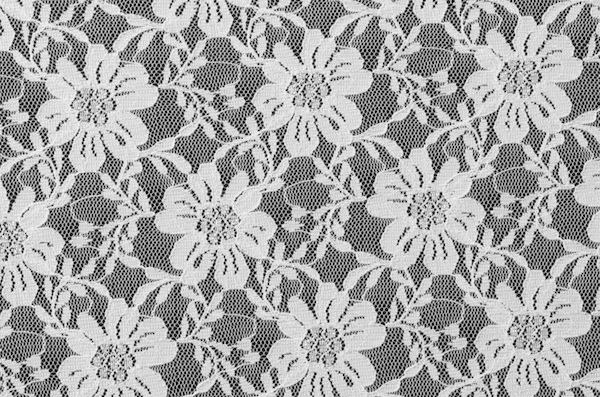 Stretch Lace (White)