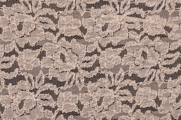 Stretch Lace (Ivory)