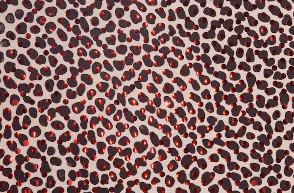 Animal Print Hologram (Black/White/Red)