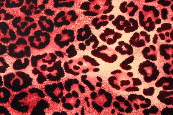 Animal Prints (Red/Beige multi)