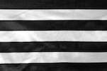 Printed Satin Stripes  (Black/White)