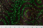 Alternate product image 2