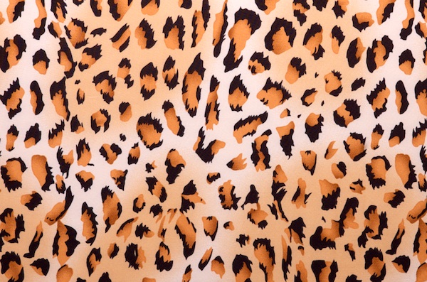 Animal Prints (Off white/Black/Multi)