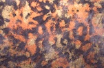 Alternate product image 2