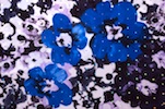 Alternate product image 1