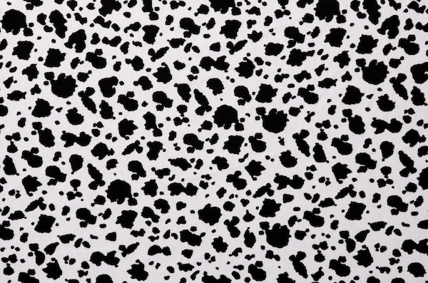Printed Cotton Lycra&reg; (Black/White)