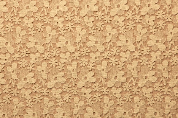 Stretch Lace (Taupe)