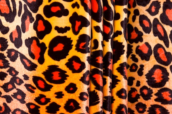 Leopard Pattern Velvet (Orange/Black)