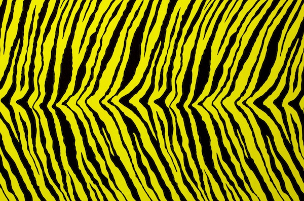 Animal Prints (Yellow/Black)