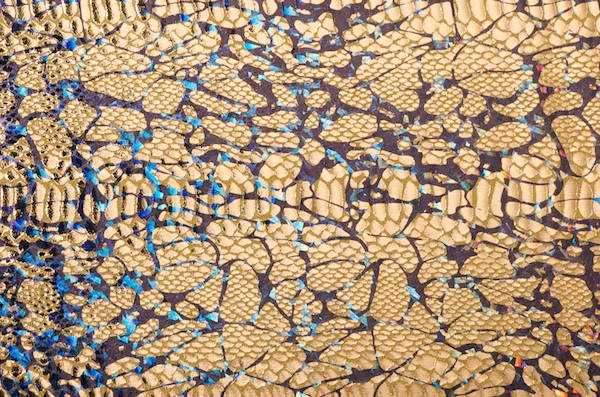 Animal Print Hologram (Gold/Multi)