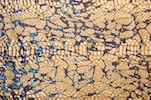 Animal Print Hologram (Gold/Multi)