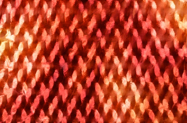 Tie Dye Stretch Velvet (Burnt orange/Copper/Multi)