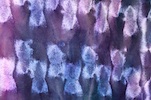Alternate product image 2