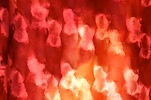 Alternate product image 2