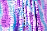 Alternate product image 1